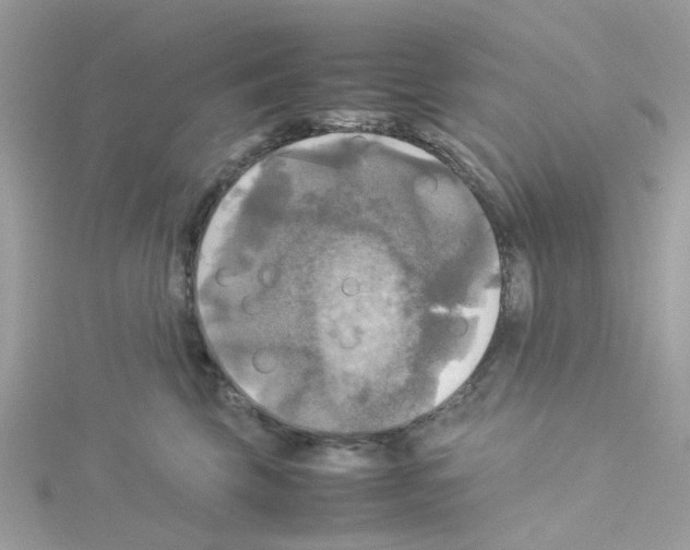 X0000114110569200911161121