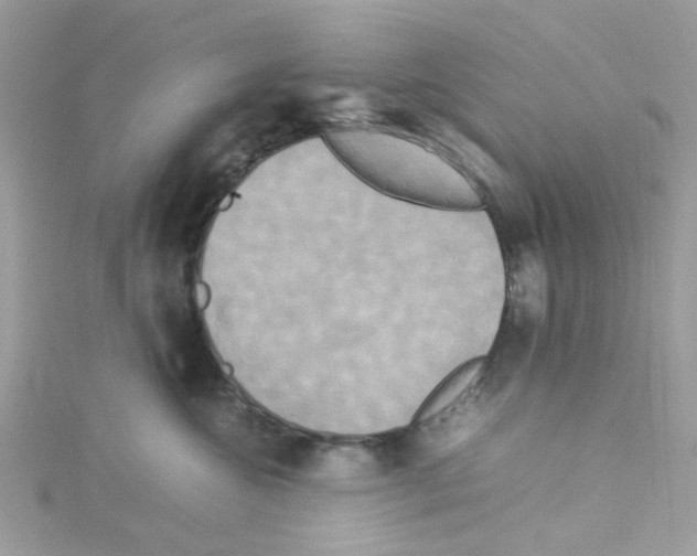 X0000114110572200911161121