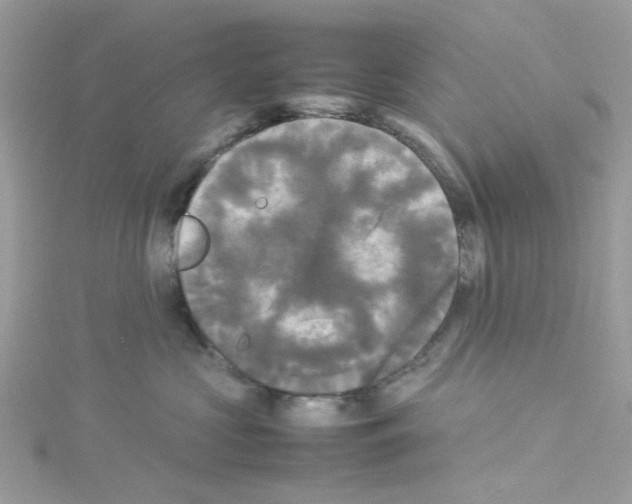 X0000114110573200911161121