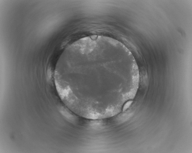 X0000114110574200911161121