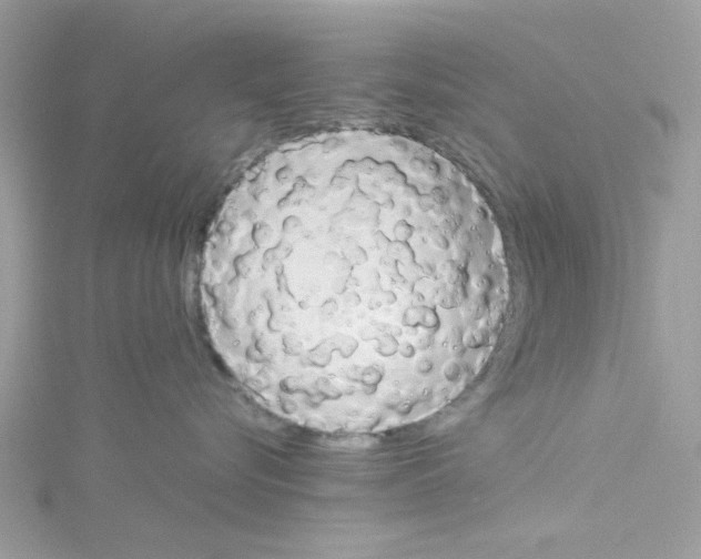 X0000114110576200911161121