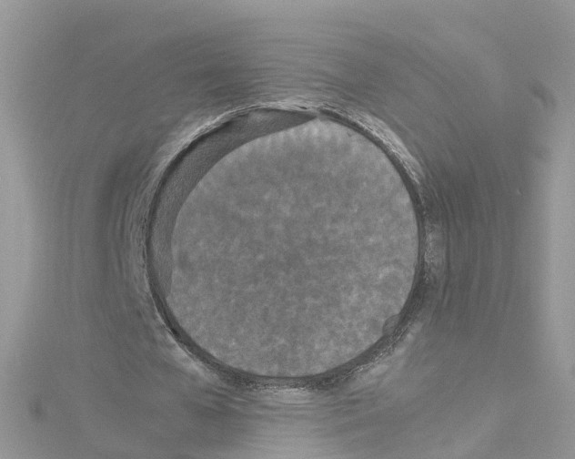 X0000114110577200911161120