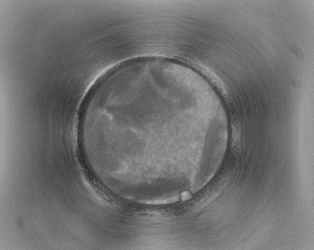 X0000114110580200911161120