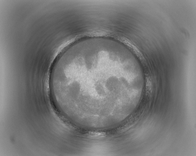 X0000114110582200911161120