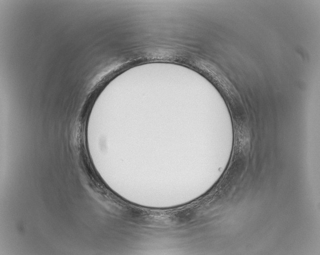 X0000114110583200911161120