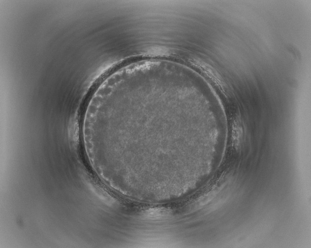 X0000114110584200911161120