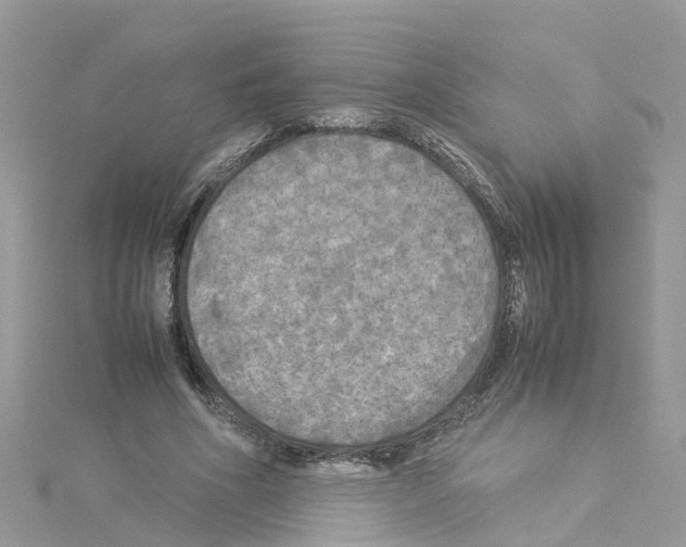 X0000114110586200911161120