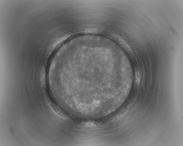 X0000114110588200911161120