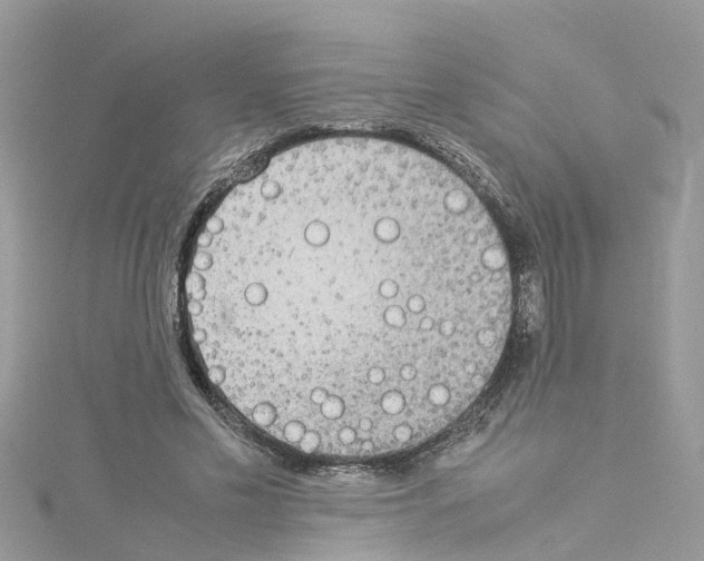 X0000114110589200911161120