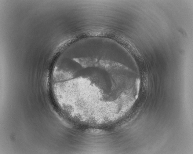 X0000114110590200911161120