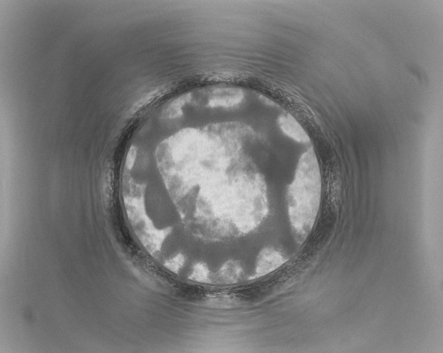 X0000114110591200911161120