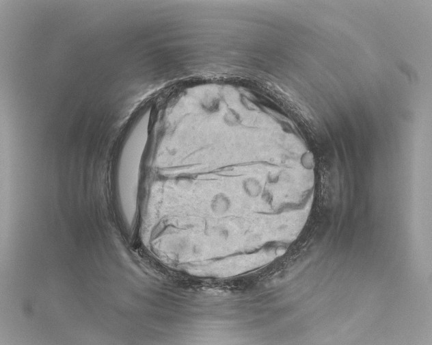 X0000114110592200911161120