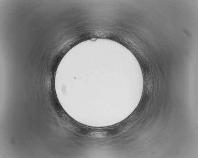 X0000114110595200911161120