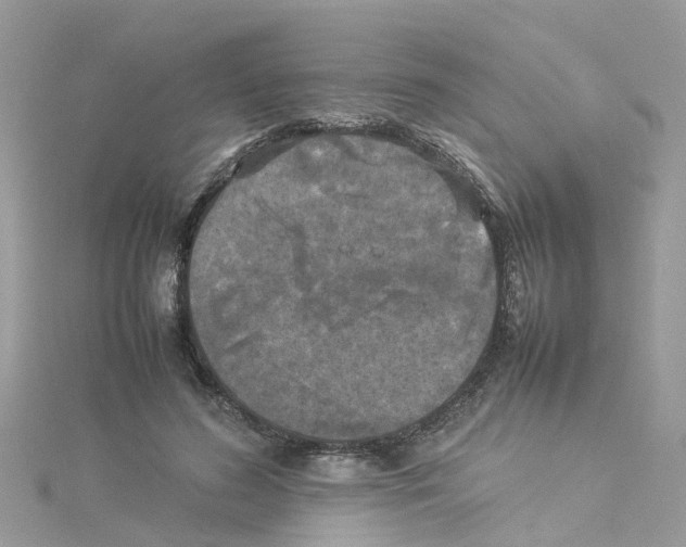 X0000114110596200911161120