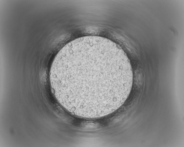 X0000114110597200911161120