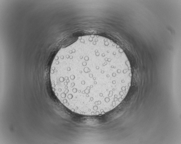 X0000114110601200911161120