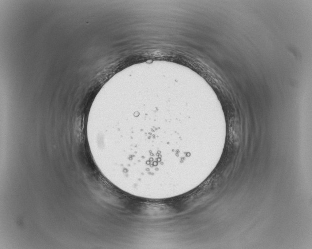 X0000114110605200911161120