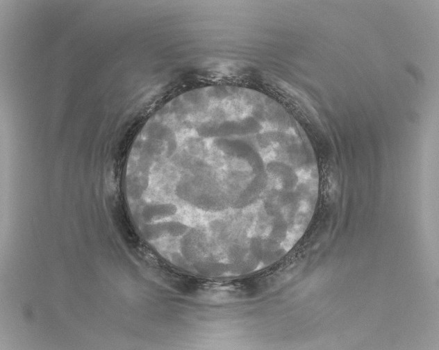 X0000114110607200911161120