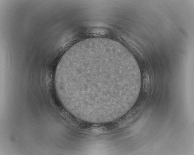 X0000114110608200911161120