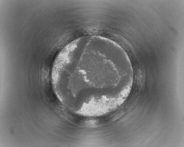 X0000114110610200911161120