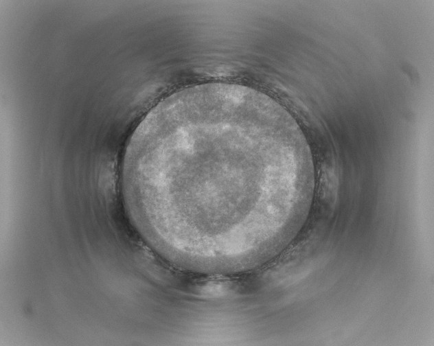 X0000114110612200911161120