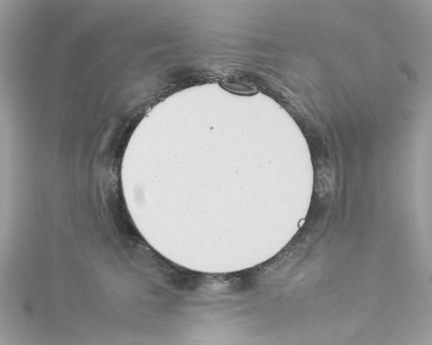 X0000114110613200911161120