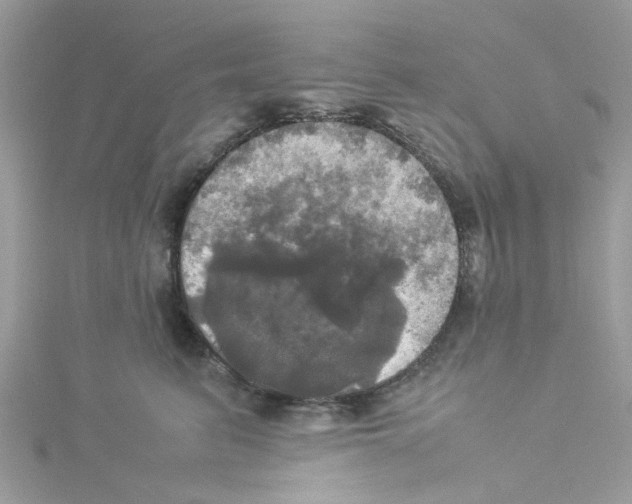 X0000114110615200911161120