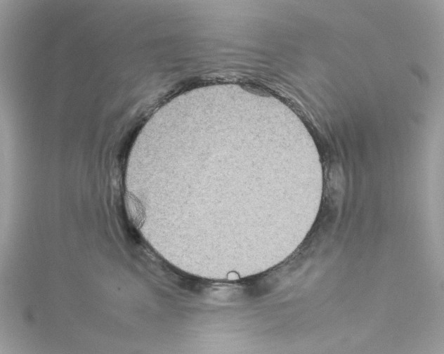 X0000114110617200911161120