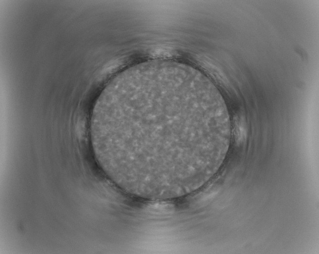 X0000114110619200911161120