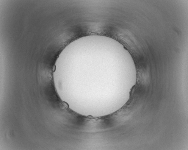 X0000114110621200911161120