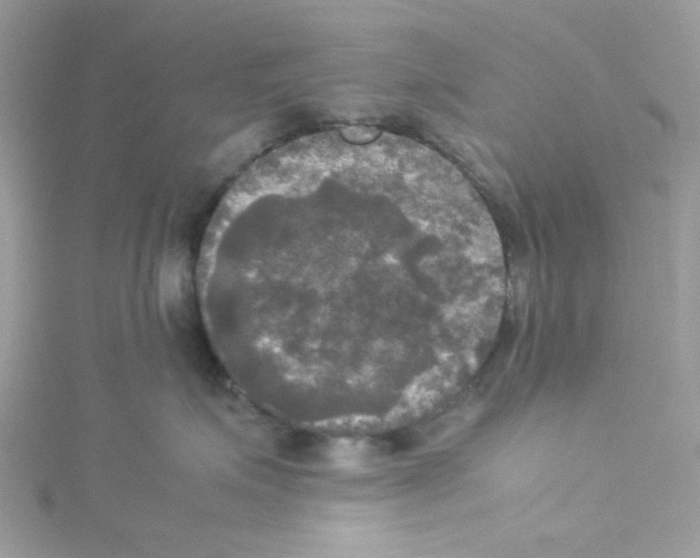 X0000114110623200911161120