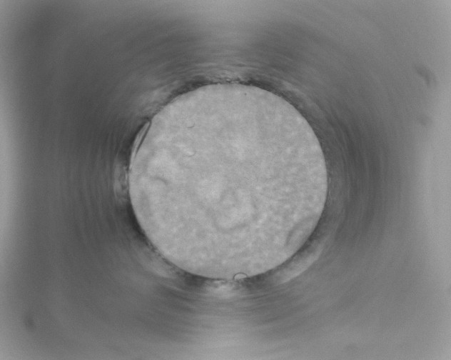 X0000114110624200911161120