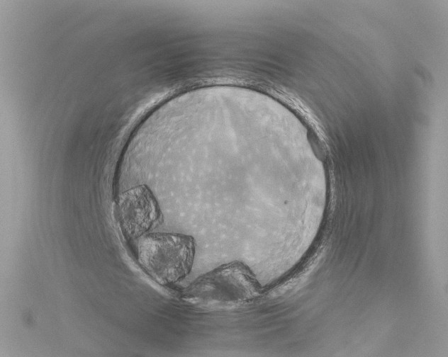 X0000114110625200911161119