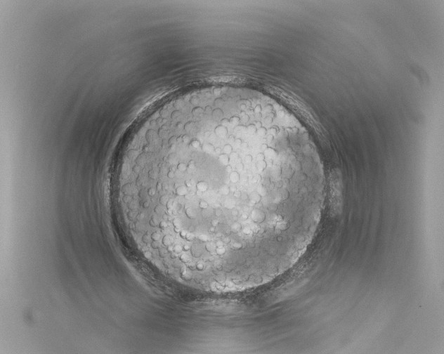 X0000114110626200911161119