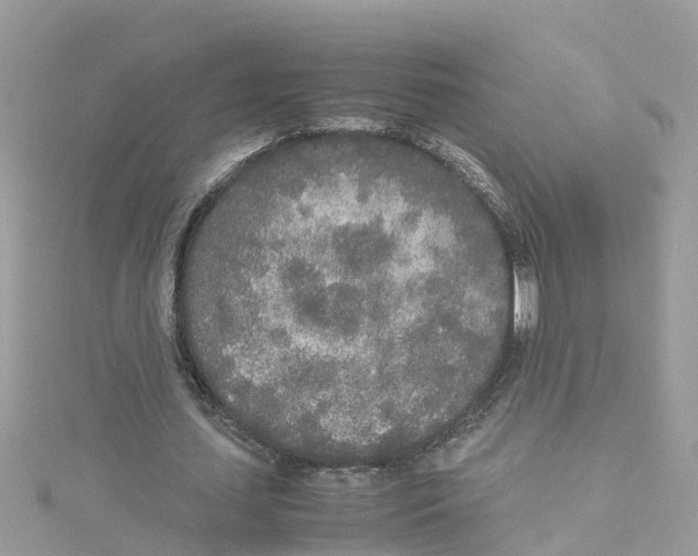 X0000114110627200911161119