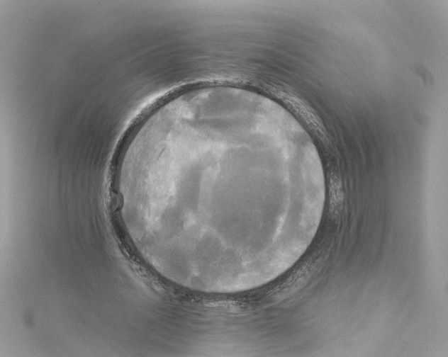 X0000114110628200911161119