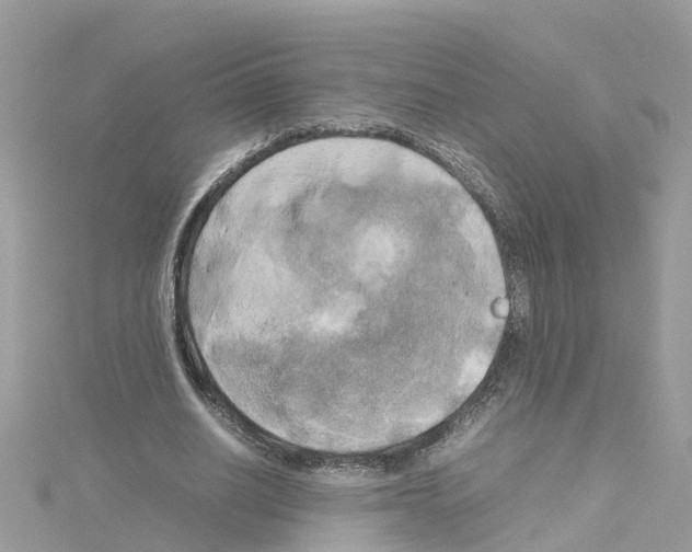 X0000114110630200911161119