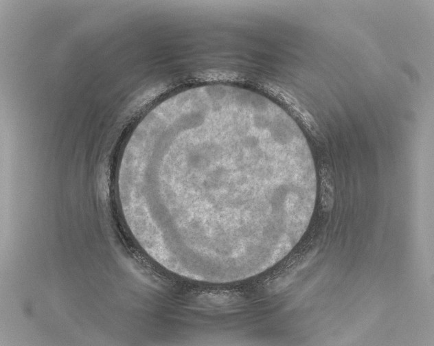 X0000114110631200911161119