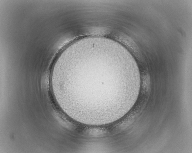 X0000114110632200911161119