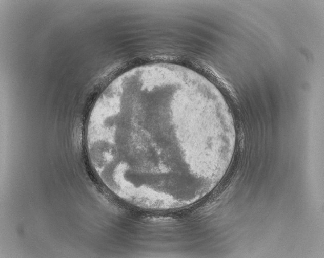 X0000114110637200911161119