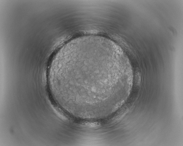 X0000114110638200911161119