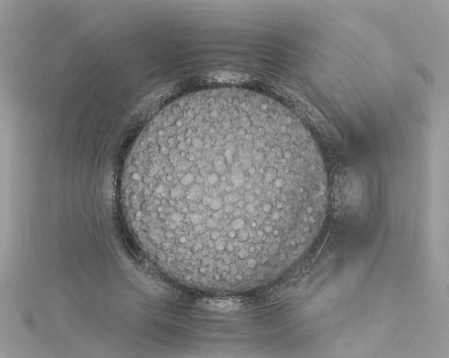 X0000114110639200911161119