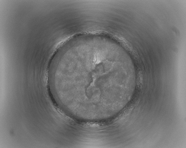 X0000114110640200911161119