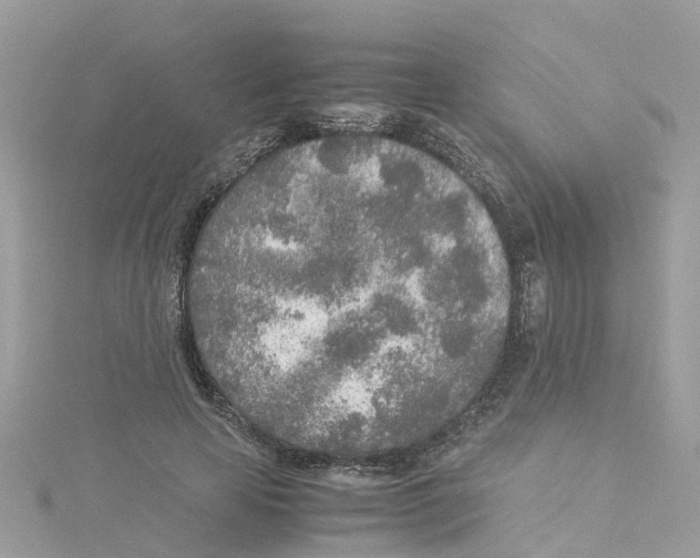 X0000114110641200911161119