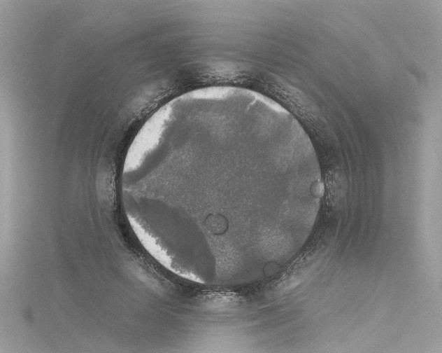 X0000114110642200911161119