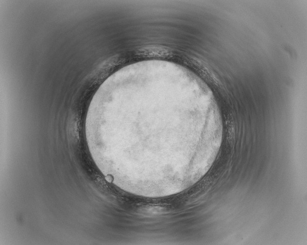 X0000114110643200911161119