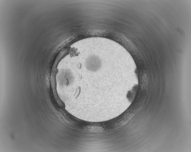 X0000114110644200911161119