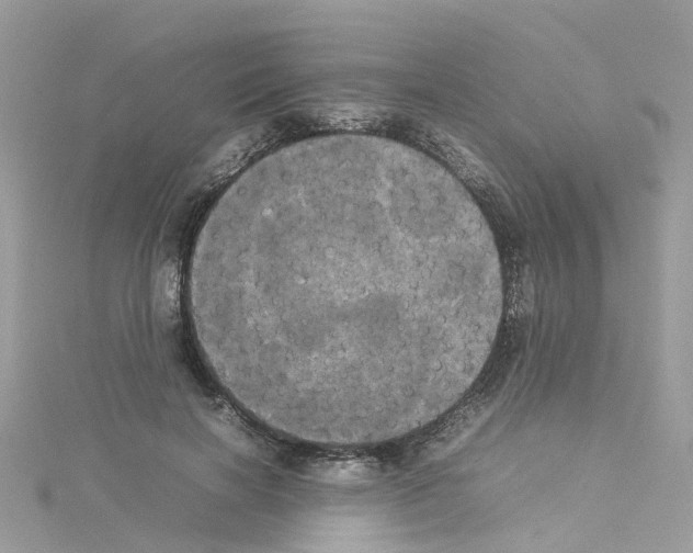 X0000114110646200911161119