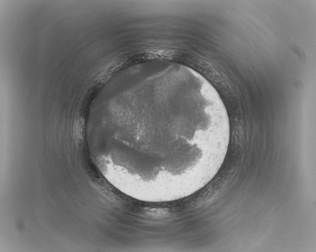 X0000114110649200911161119