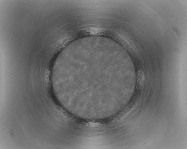 X0000114110650200911161119